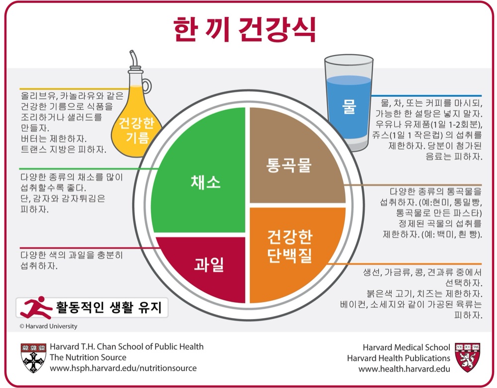 한 끼 건강식 — 하버드 보건대학원 Healthy Eating Plate 한국어판
